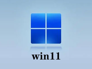 win11ͥרҵ